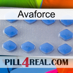 Avaforce 21